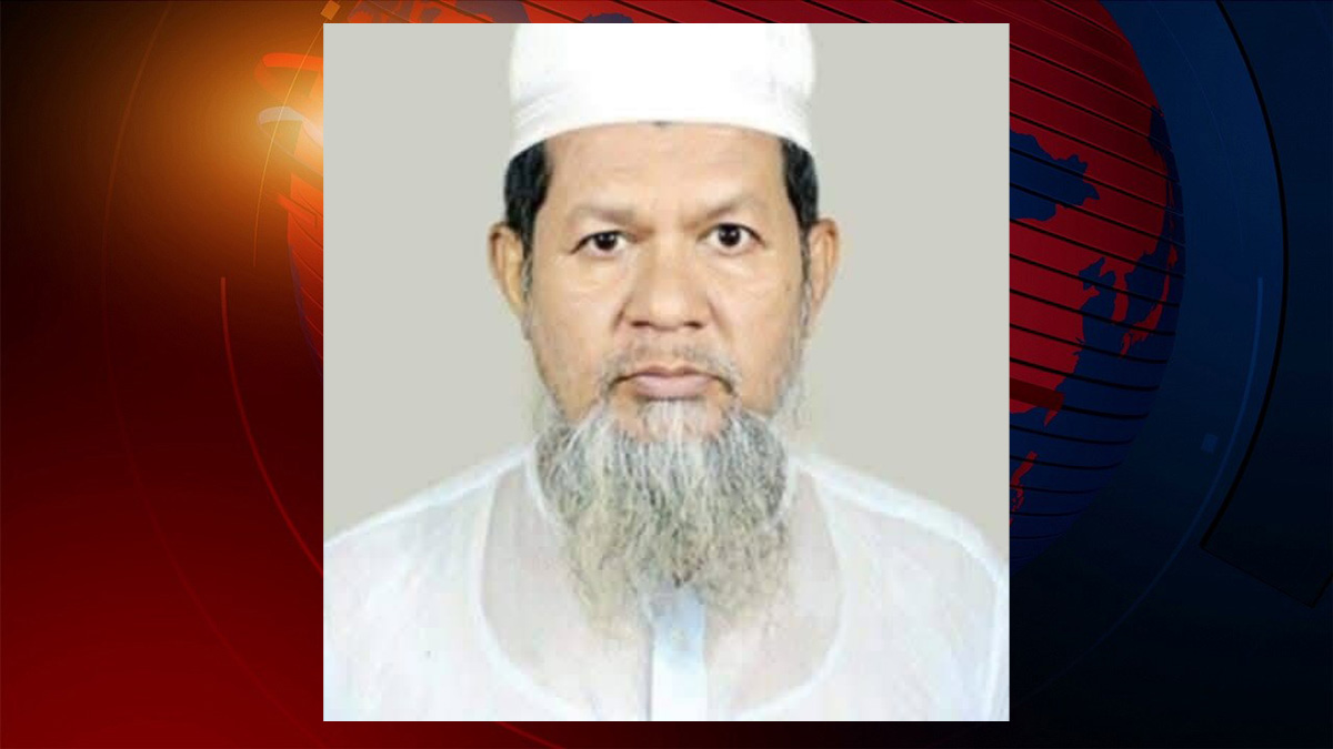 ইউনিয়ন বিএনপির সম্পাদক নির্বাচিত হলেন উপদেষ্টা মাহফুজের বাবা