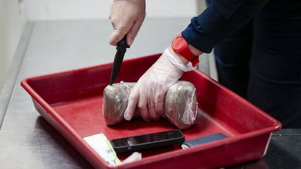 সৌদির সহায়তায় ১২৫ কেজি কোকেইন জব্দ লেবাননে